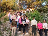 Forest Camp-1